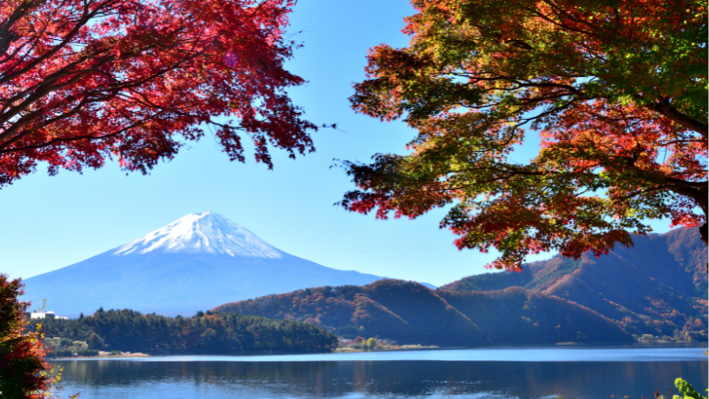 Day Trips from Tokyo by Train, Bus, or Car: Discover Japan’s Hidden Wonders Day Trips from Tokyo by Train, Bus, or Car: Discover Japan’s Hidden Wonders