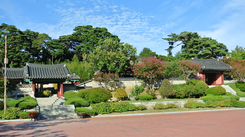 Day Trips from Seoul by Train, Bus, or Car: Korea’s Best Getaways Beyond the City Day Trips from Seoul by Train, Bus, or Car: Korea’s Best Getaways Beyond the City