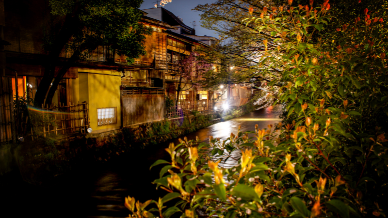 1 Week in Japan: Tokyo Buzz, Temples & Sushi Trails 1 Week in Japan: Tokyo Buzz, Temples & Sushi Trails