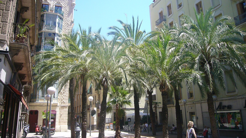 6 Days in Barcelona: Gaudí’s Masterpieces and Beachside Tapas 6 Days in Barcelona: Gaudí’s Masterpieces and Beachside Tapas