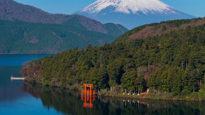 Day Trips from Tokyo by Train, Bus, or Car: Discover Japan’s Hidden Wonders Day Trips from Tokyo by Train, Bus, or Car: Discover Japan’s Hidden Wonders