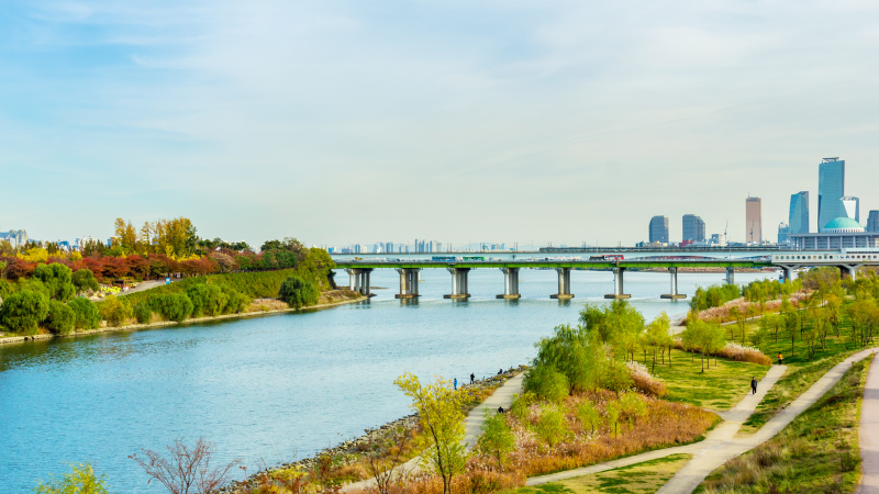 5 Days in Seoul: K-Pop, Palaces & Street Food Delights 5 Days in Seoul: K-Pop, Palaces & Street Food Delights