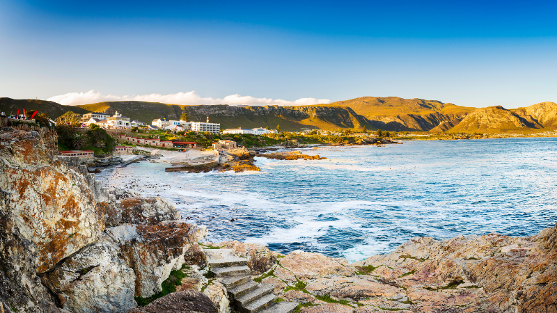 Day Trips from Cape Town by Train, Bus, or Car: South Africa’s Natural Wonders Day Trips from Cape Town by Train, Bus, or Car: South Africa’s Natural Wonders