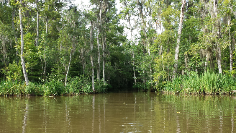 Three Days in New Orleans: Jazz, Food & French Quarter Fun Three Days in New Orleans: Jazz, Food & French Quarter Fun