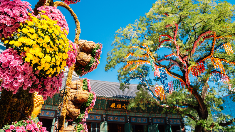 Two Days in Seoul, South Korea: Ultimate Travel Guide & Itinerary Two Days in Seoul, South Korea: Ultimate Travel Guide & Itinerary