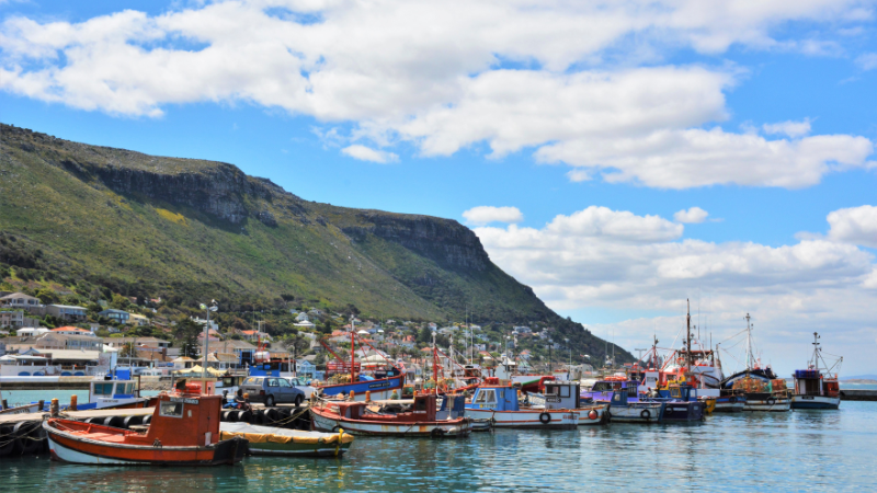 One Day in Cape Town, South Africa: Natural Wonders & Urban Adventures