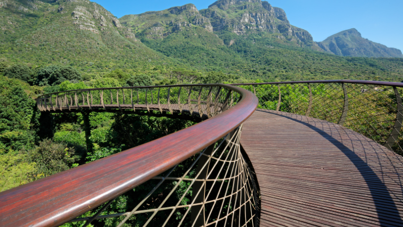 6 Days in Cape Town: Table Mountain Hikes and Wine Country 6 Days in Cape Town: Table Mountain Hikes and Wine Country