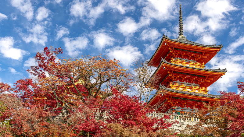 Three Days in Kyoto: Temples, Tea Houses & Geisha Culture Three Days in Kyoto: Temples, Tea Houses & Geisha Culture