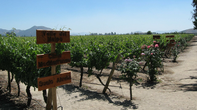 Three Days in Santiago: Mountains, Wine & Culture Three Days in Santiago: Mountains, Wine & Culture