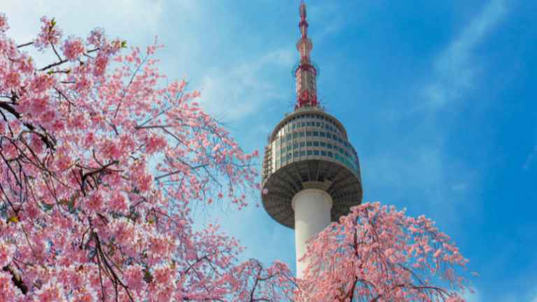 50 Things to Do in Seoul
