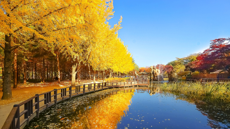 Day Trips from Seoul by Train, Bus, or Car: Korea’s Best Getaways Beyond the City Day Trips from Seoul by Train, Bus, or Car: Korea’s Best Getaways Beyond the City