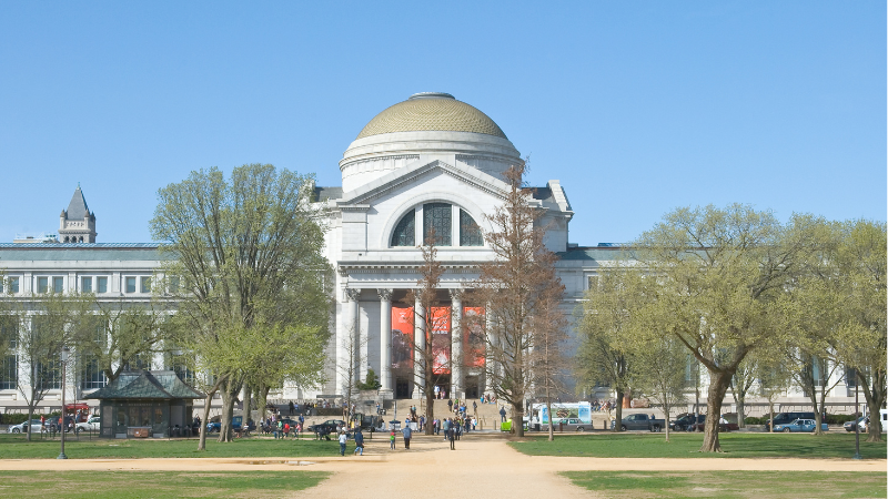 5 Days in Washington D.C.: Monuments, Museums & Politics 5 Days in Washington D.C.: Monuments, Museums & Politics