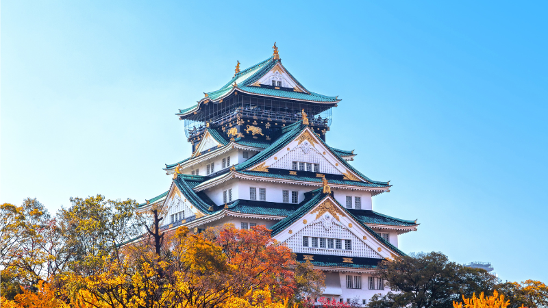 1 Week in Japan: Tokyo Buzz, Temples & Sushi Trails 1 Week in Japan: Tokyo Buzz, Temples & Sushi Trails