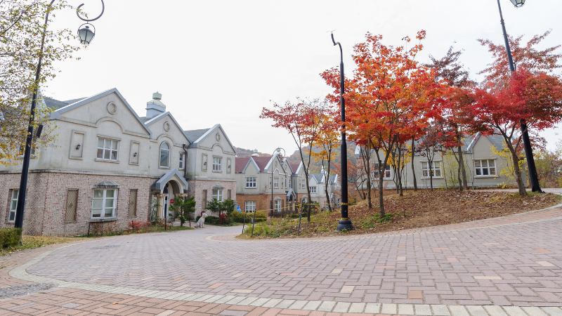 Day Trips from Seoul by Train, Bus, or Car: Korea’s Best Getaways Beyond the City Day Trips from Seoul by Train, Bus, or Car: Korea’s Best Getaways Beyond the City