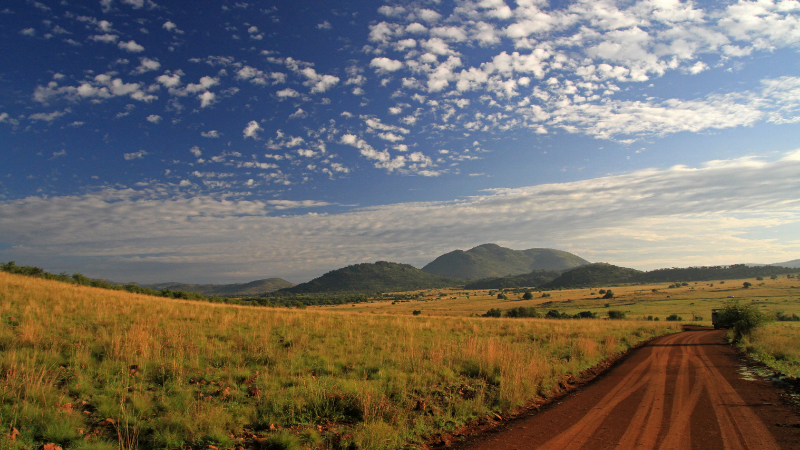 Four Days in Johannesburg: From Apartheid History to Wildlife Safaris Four Days in Johannesburg: From Apartheid History to Wildlife Safaris