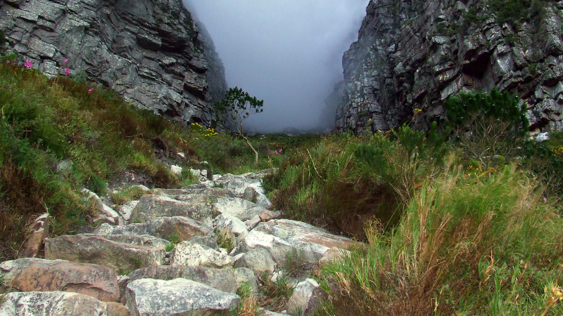 6 Days in Cape Town: Table Mountain Hikes and Wine Country 6 Days in Cape Town: Table Mountain Hikes and Wine Country