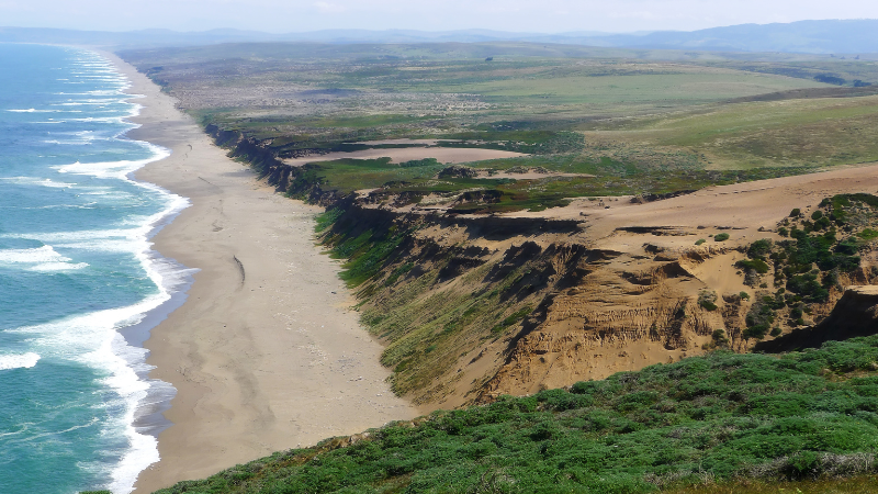 Day Trips from San Francisco by Train, Bus, or Car: Wine Country, Redwoods & More Day Trips from San Francisco by Train, Bus, or Car: Wine Country, Redwoods & More