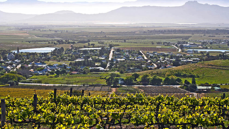 Day Trips from Cape Town by Train, Bus, or Car: South Africa’s Natural Wonders Day Trips from Cape Town by Train, Bus, or Car: South Africa’s Natural Wonders