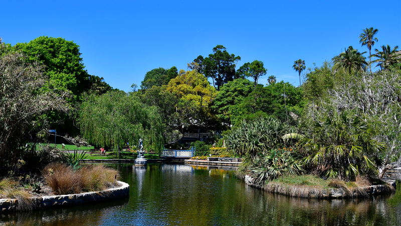 6 Days in Sydney: Opera House Days and Bondi Beach Walks 6 Days in Sydney: Opera House Days and Bondi Beach Walks