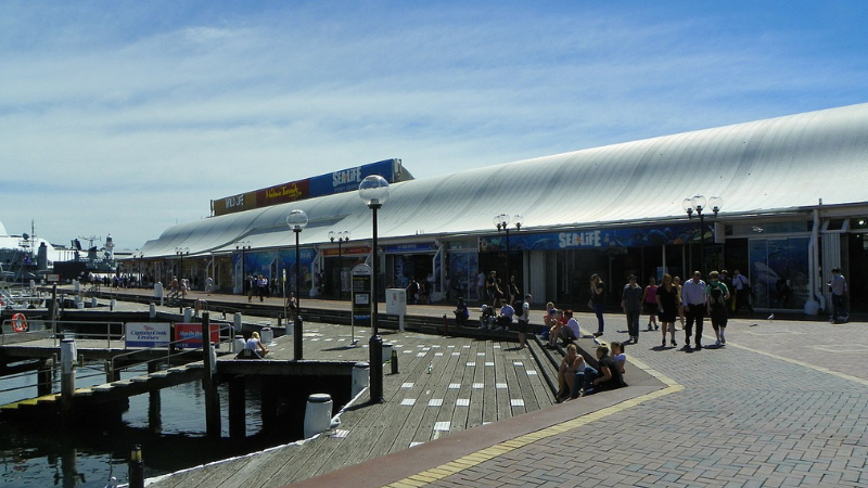 6 Days in Sydney: Opera House Days and Bondi Beach Walks 6 Days in Sydney: Opera House Days and Bondi Beach Walks