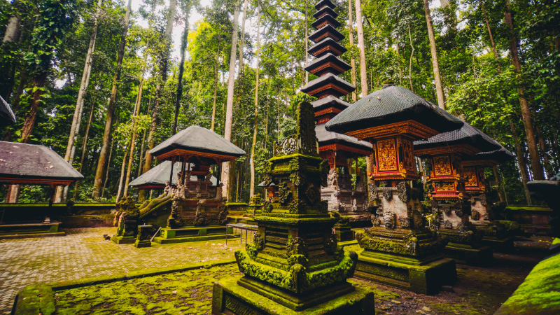 Four Days in Bali: From Rice Terraces to Serene Temples Four Days in Bali: From Rice Terraces to Serene Temples