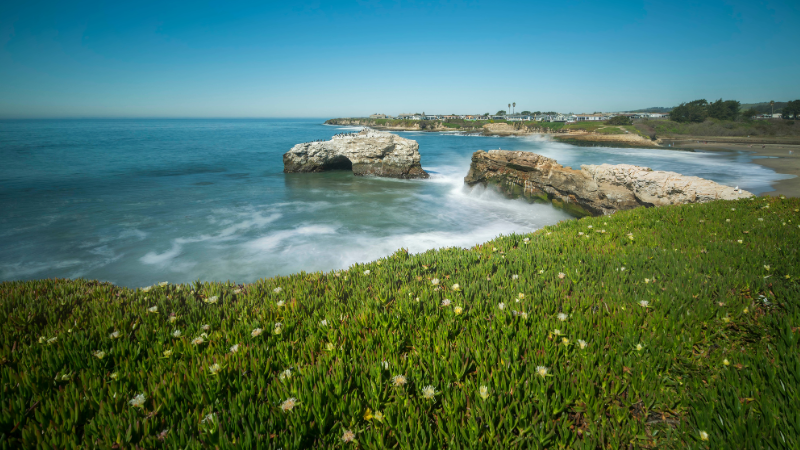 Day Trips from San Francisco by Train, Bus, or Car: Wine Country, Redwoods & More Day Trips from San Francisco by Train, Bus, or Car: Wine Country, Redwoods & More