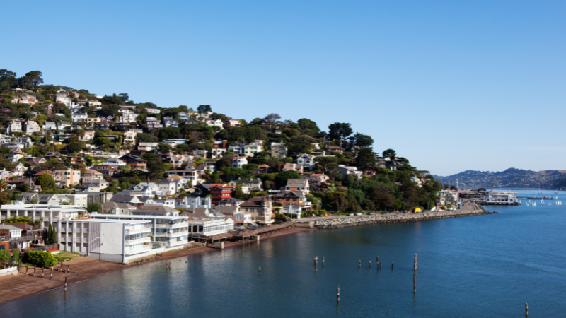 Day Trips from San Francisco by Train, Bus, or Car: Wine Country, Redwoods & More Day Trips from San Francisco by Train, Bus, or Car: Wine Country, Redwoods & More