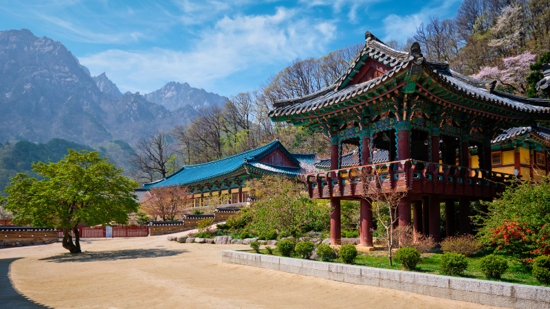 Day Trips from Seoul by Train, Bus, or Car: Korea’s Best Getaways Beyond the City Day Trips from Seoul by Train, Bus, or Car: Korea’s Best Getaways Beyond the City