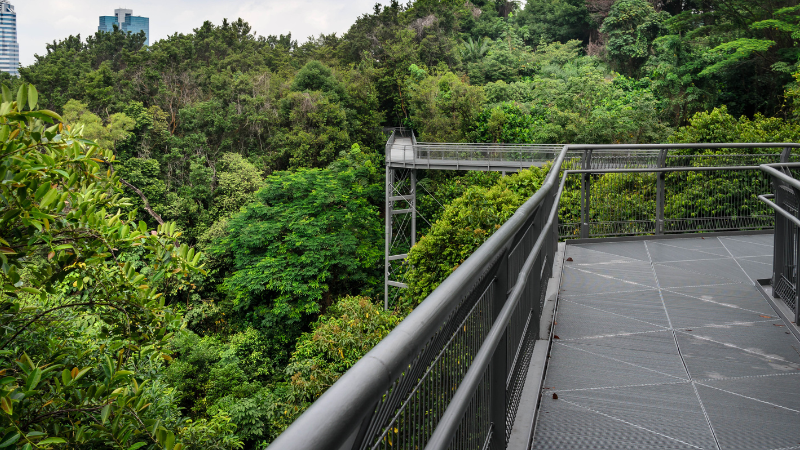 5 Days in Singapore: Skyline Views, Gardens & Street Food 5 Days in Singapore: Skyline Views, Gardens & Street Food