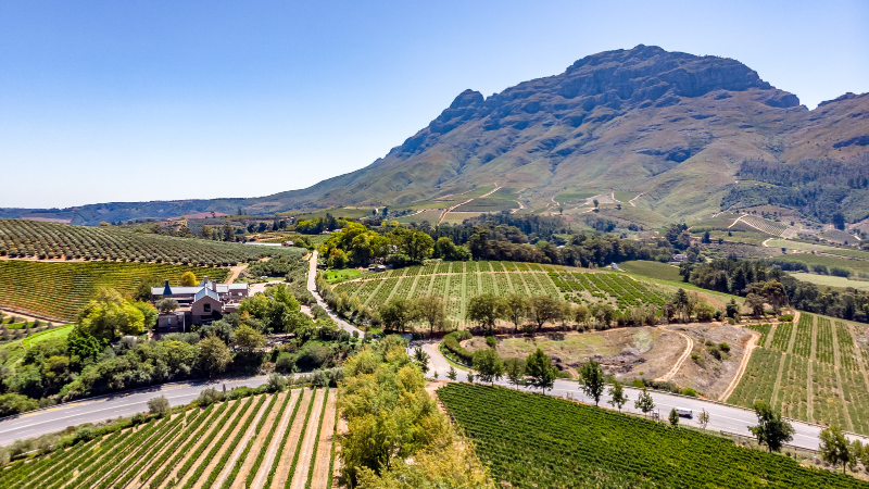 6 Days in Cape Town: Table Mountain Hikes and Wine Country 6 Days in Cape Town: Table Mountain Hikes and Wine Country