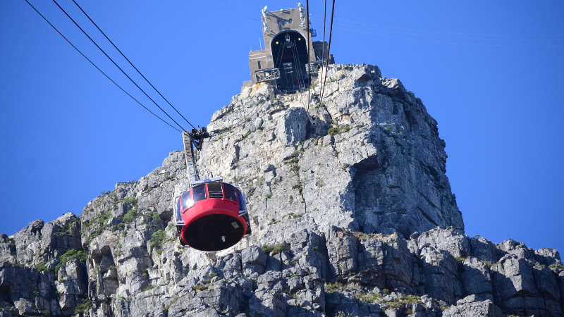 6 Days in Cape Town: Table Mountain Hikes and Wine Country 6 Days in Cape Town: Table Mountain Hikes and Wine Country