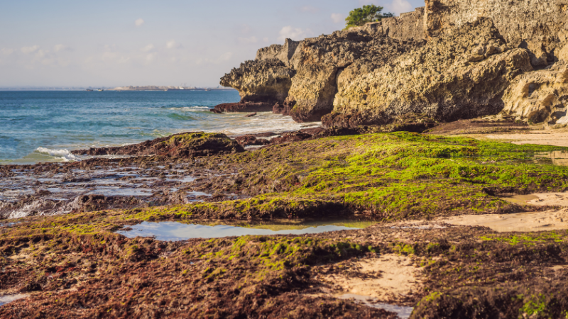 Four Days in Bali: From Rice Terraces to Serene Temples Four Days in Bali: From Rice Terraces to Serene Temples