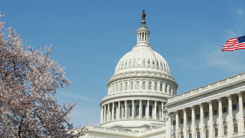Four Days in Washington, D.C.: From Monuments to Smithsonian Museums Four Days in Washington, D.C.: From Monuments to Smithsonian Museums