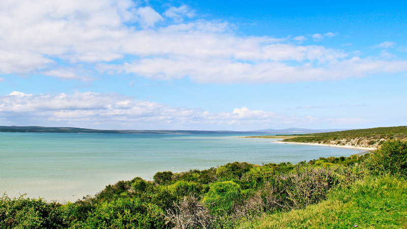 Day Trips from Cape Town by Train, Bus, or Car: South Africa’s Natural Wonders Day Trips from Cape Town by Train, Bus, or Car: South Africa’s Natural Wonders