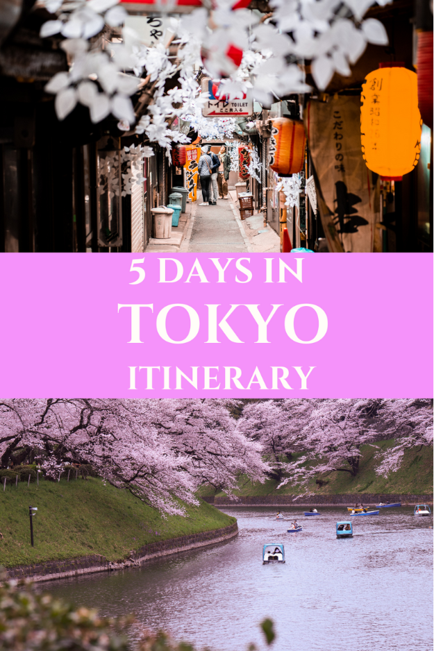 5 Days in Tokyo: Neon Streets, Temples & Sushi Adventures 5 Days in Tokyo: Neon Streets, Temples & Sushi Adventures
